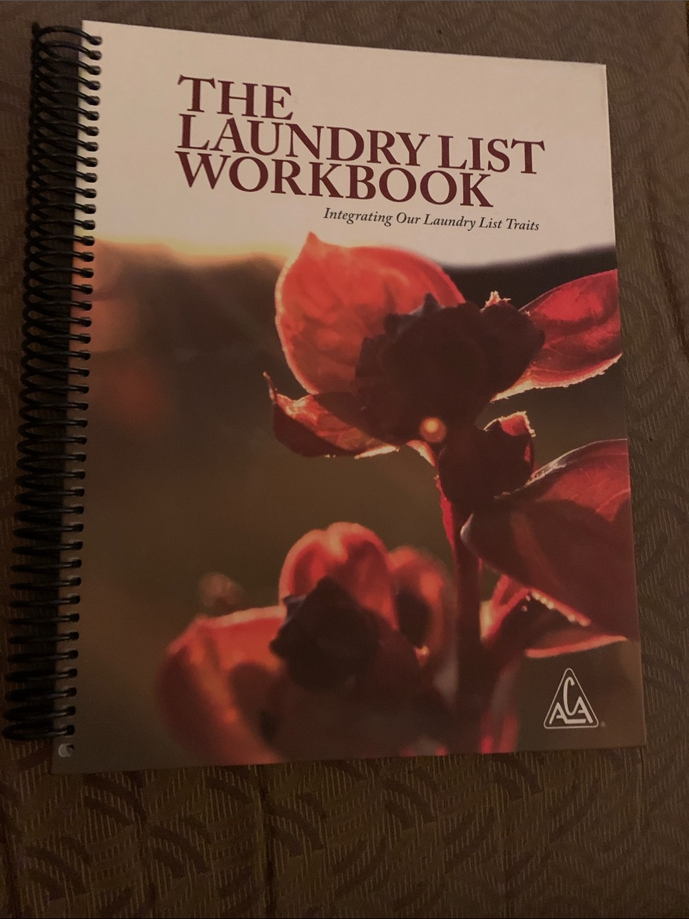 The Laundry List Workbook - Red Floral Cover